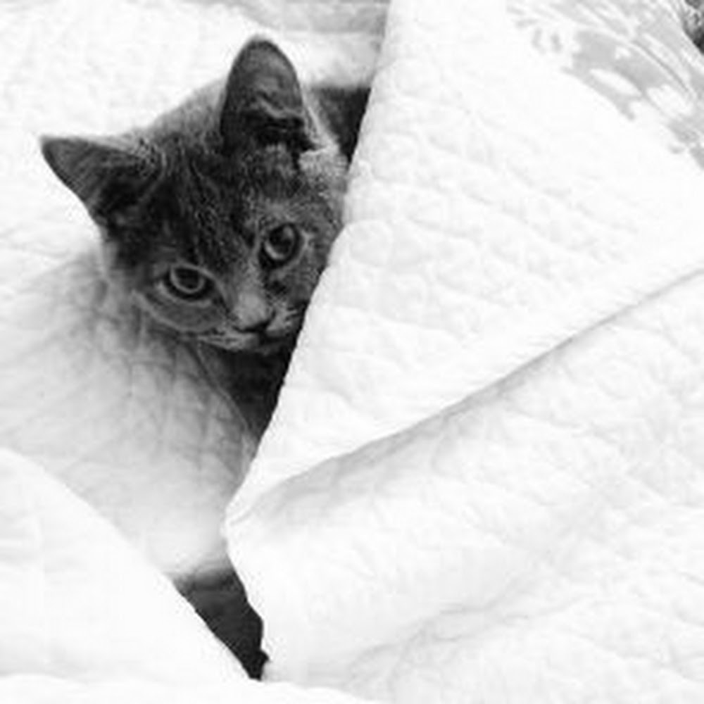 Meet your Posher, Trina